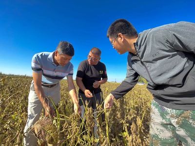 踏上新征程 趕考再出發 | 十師農科所科技特派員:服務田間地頭 助力鄉村振興